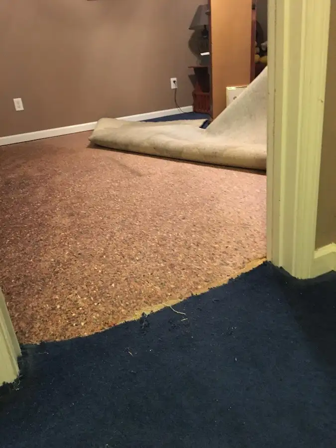 Carpet pad removal revealing water damage during Drying & Dehumidification in Avondale