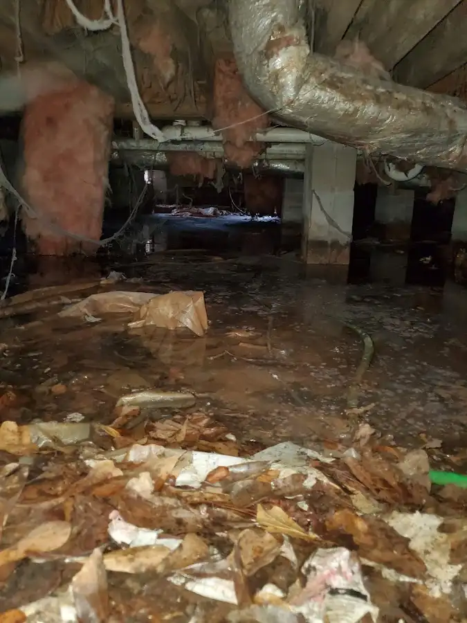 Crawl space flood assessment for Commercial Water Damage Restoration in Avondale