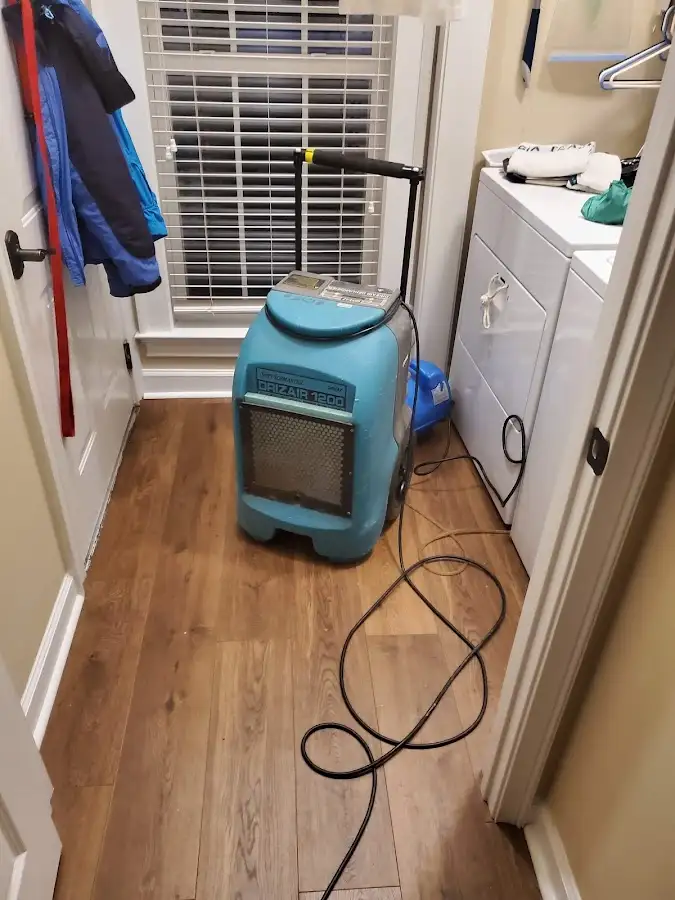 Commercial dehumidifier deployed for Flood Damage Cleanup in Avondale